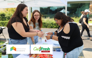 How Digitag PH Can Transform Your Digital Marketing Strategy Today
